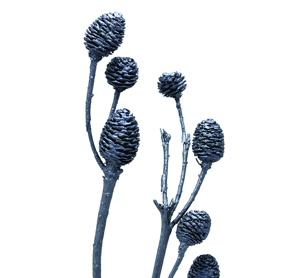 ムイリー・ブランチ　スチールグレイ　10770