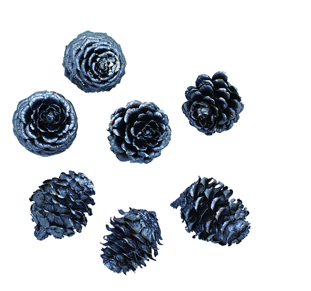 カラマツ　スチールグレイ　10772