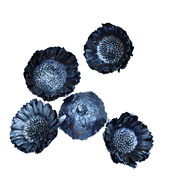 コンパクターヘッド　スチールグレイ　10777