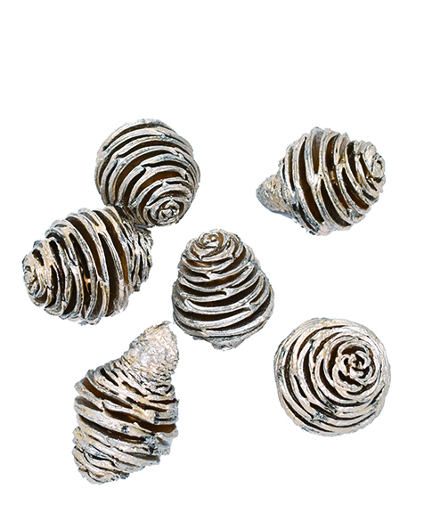 プラティスヘッド　プラチナ　10791