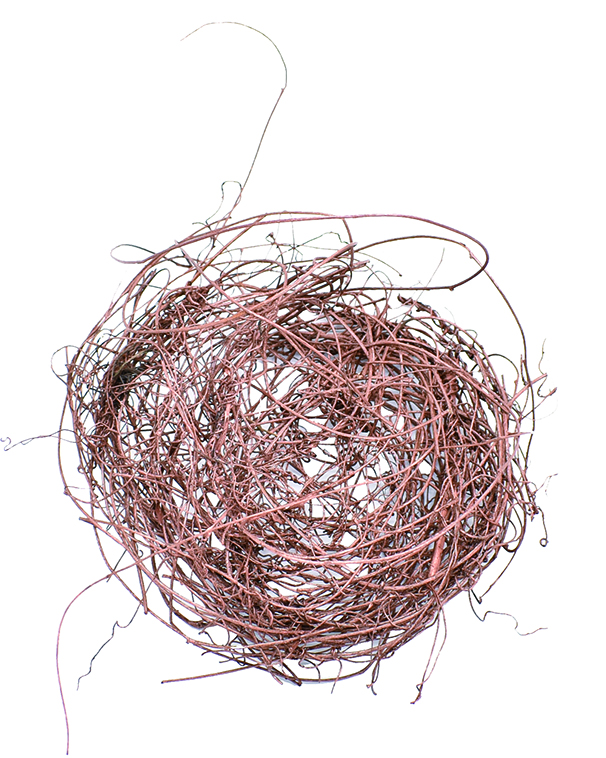 ネナカズラ　ブロンズ　10807