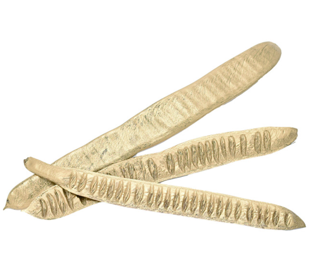 ステップフルーツ　ゴールド　10822