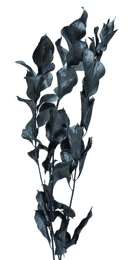 ルスカス　スチールグレイ　10826