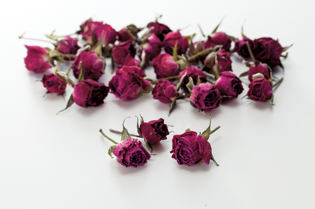 ミニバラ・ドライ・ヘッド　ワイン　10840-480