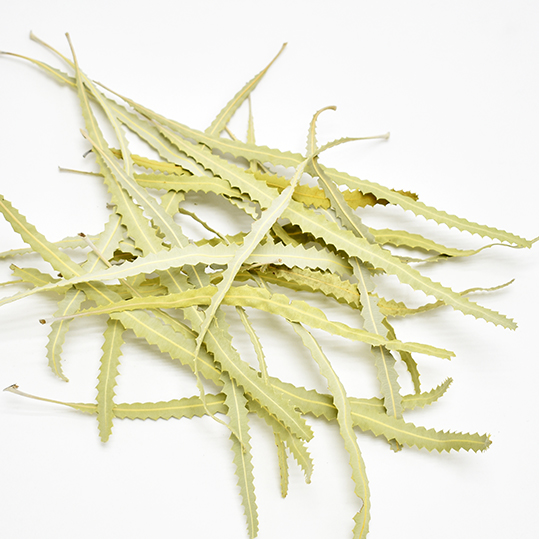 ＢＫアソートリーフ・チップ　ナチュラル　12302