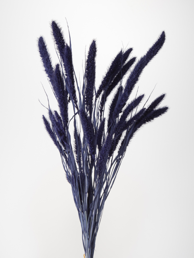 セタリア　ネイビー　14500-661　※メーカー廃盤セール60％ＯＦＦ