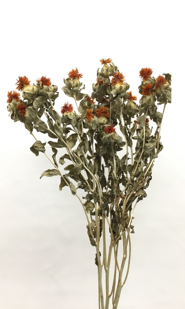紅花