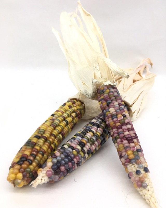 とうもろこし dbab8a09920212411725839863.jpeg