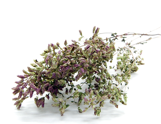 オレガノ・ハイブリッド　ナチュラル　17278