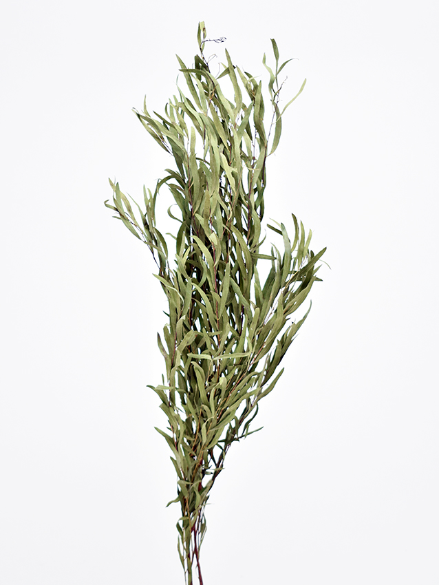 ユーカリニコリ・ドライ　ナチュラル　17305