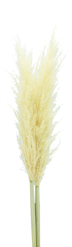 パンパス　ナチュラル　17317