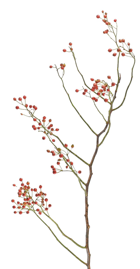 野ばらの実・ロングステム　ナチュラル　18011