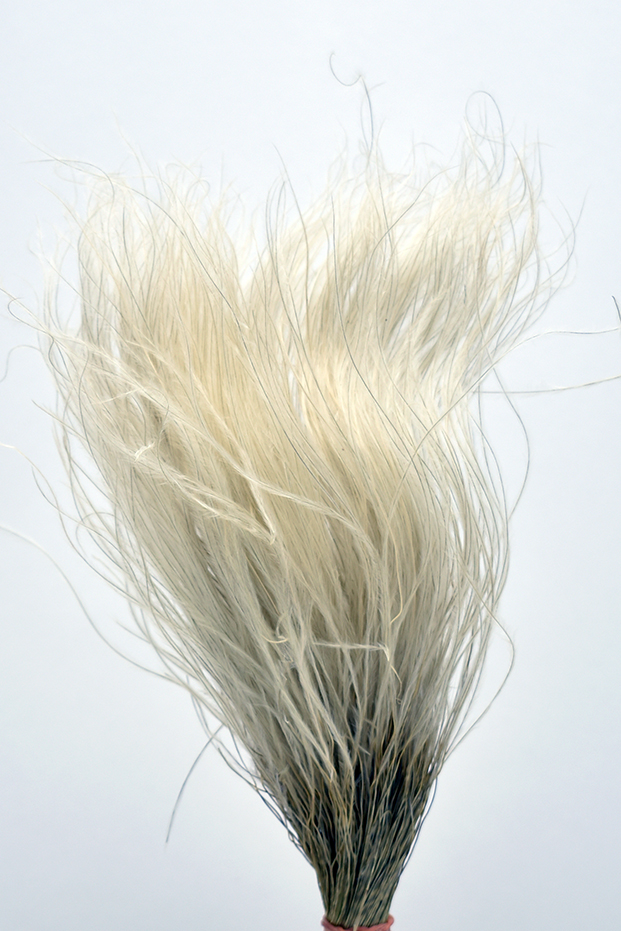 スティファ　ナチュラル　18652　※20ｇ→10ｇに変更