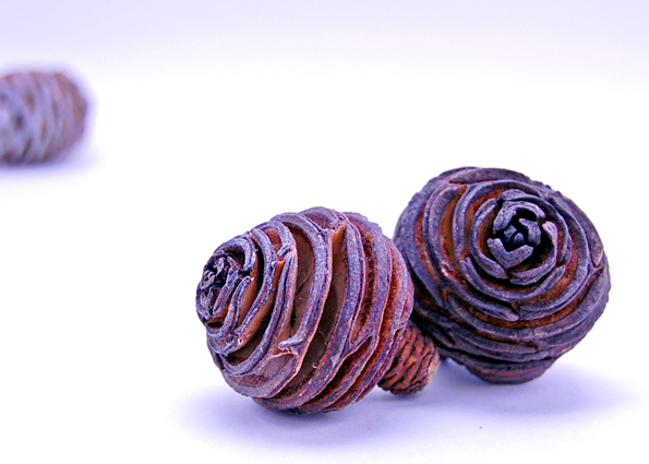 プラティスヘッド　ナチュラル