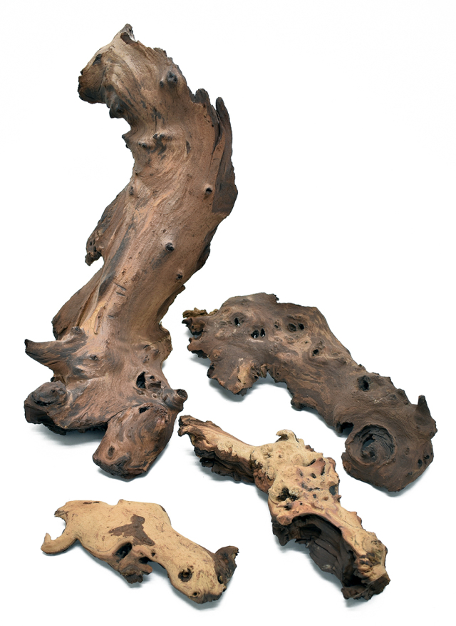 ナミブ砂漠の流木　Sサイズ　18879