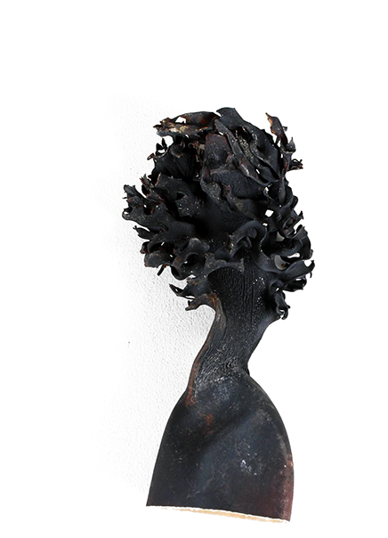 ケルプの根っこ　ナチュラル　18880