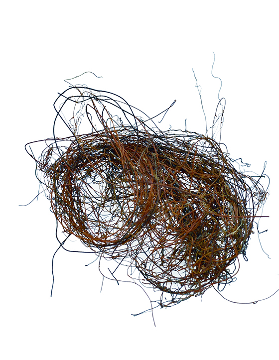 ネナカズラ　ナチュラル　18899