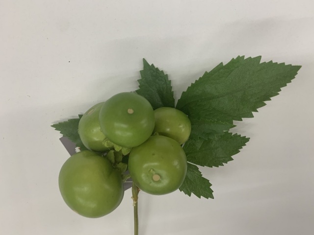プチトマト　緑