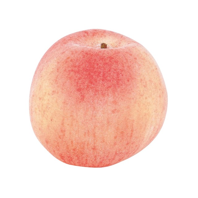 ピーチ　A-20258-4