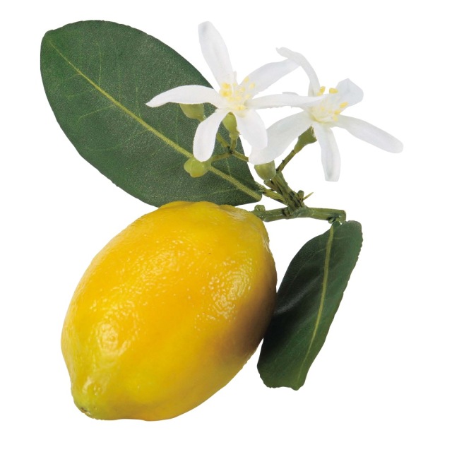 レモン　A-20360-10　