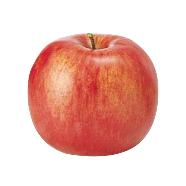 フジリンゴ　レッド　A-20400-2