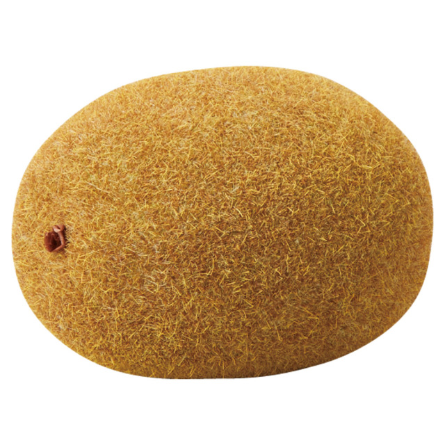 キウイ　A-20456-44