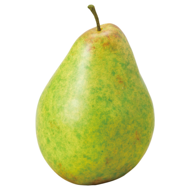 ペアー　A-20458-51A