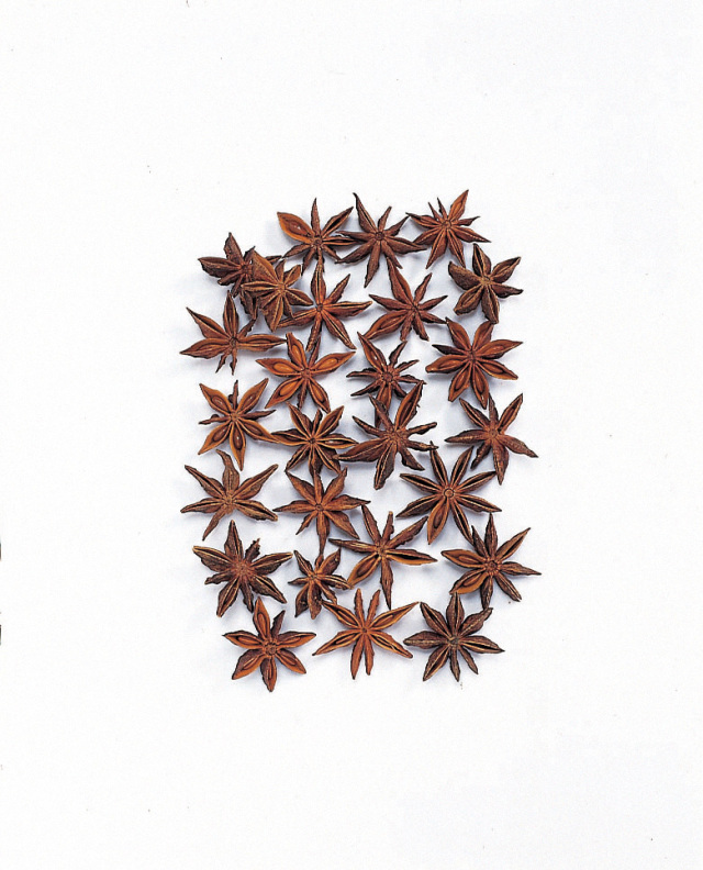 スターアニス　　ナチュラル　21020-000