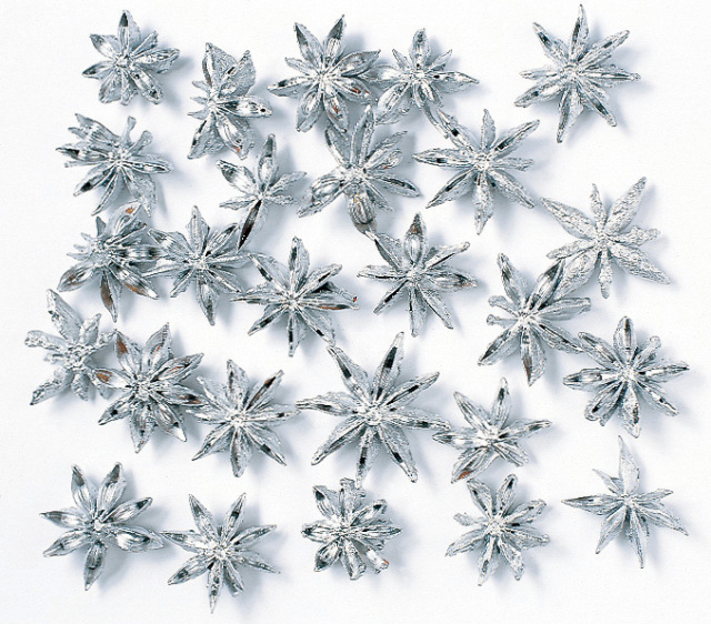 スターアニス　シルバー　21020-912