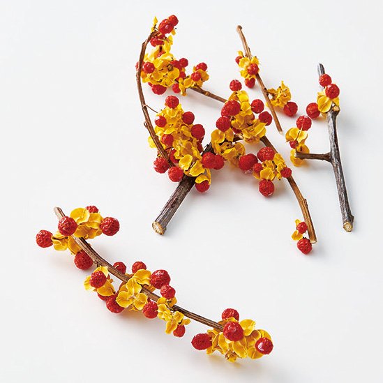 ツルウメモドキ・チュプ　N　22050-000