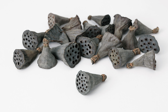 ミニハス・小・N　22420-000