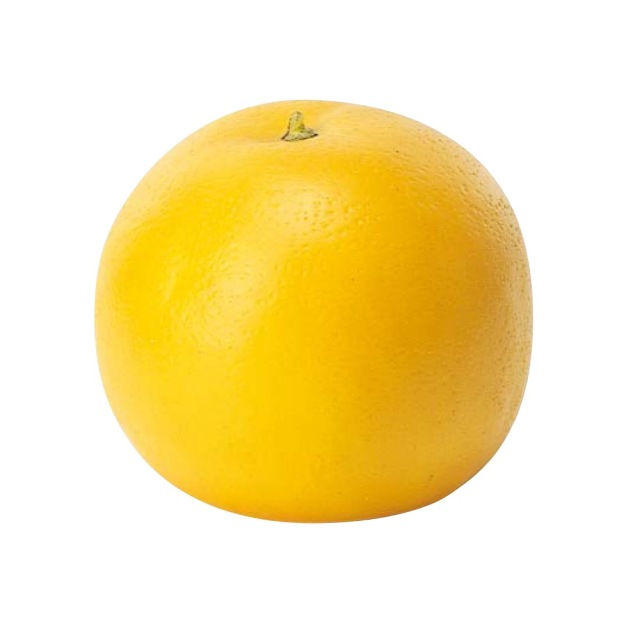 グレープフルーツ　A-23025-10