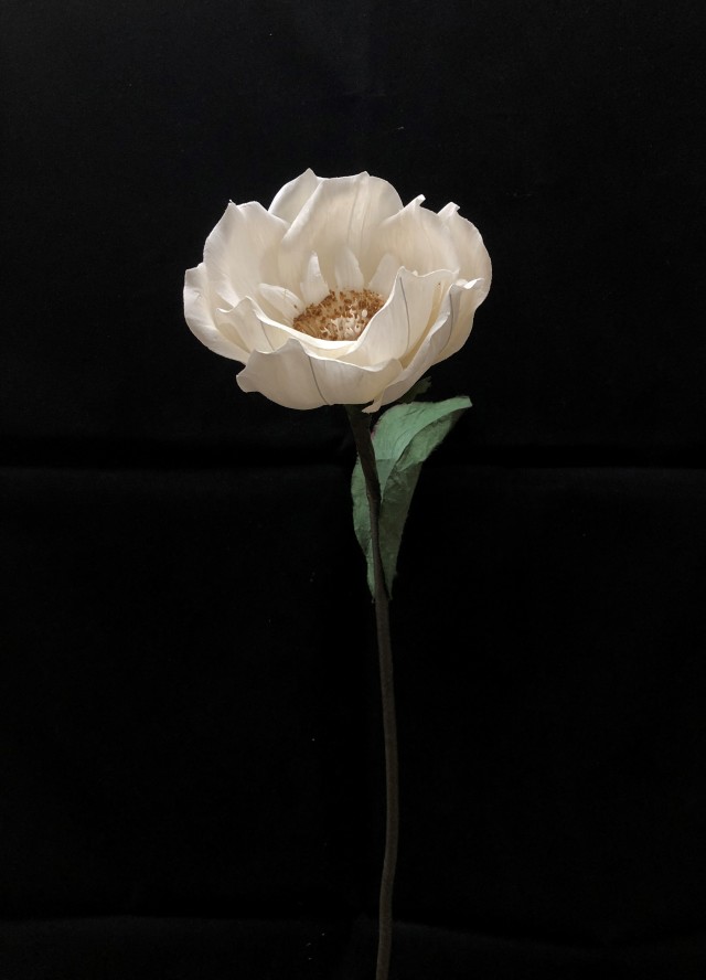 ソラステムオレンジフラワー　特別割引60％ＯＦＦ　240-02-005