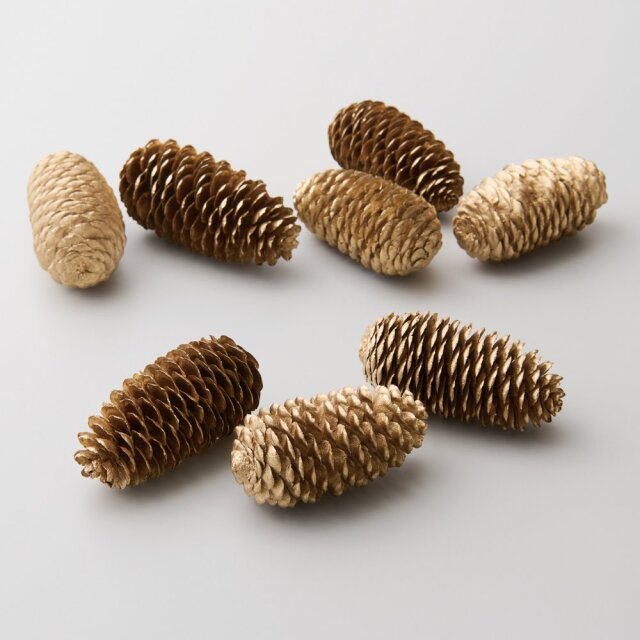 専用感謝Sale＊ドイツトウヒドライスワッグ＆コットンと木の実ドライ