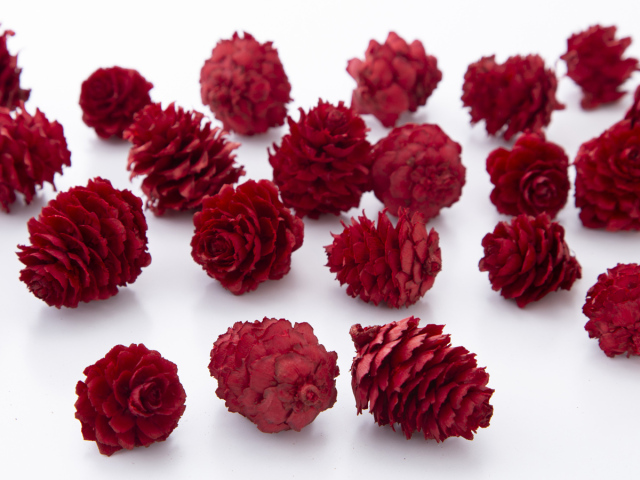 カラ松　レッド　24121-300