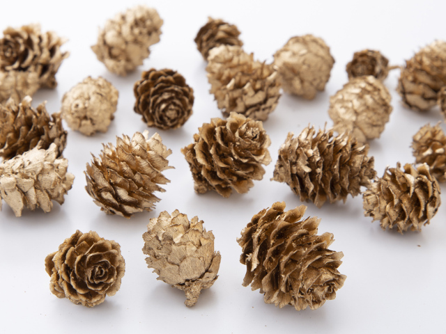 カラ松　ゴールド　24121-902