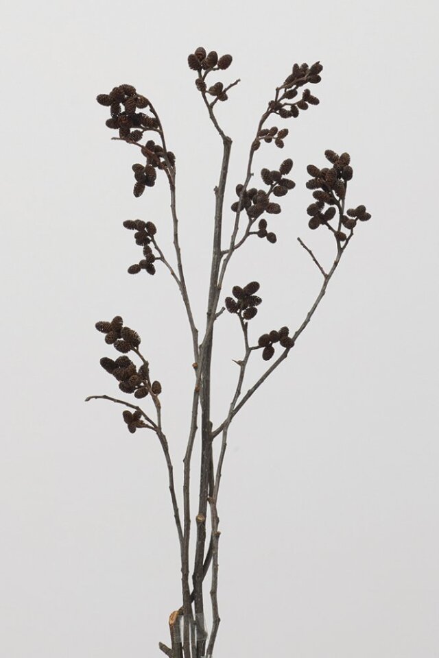 ベースオブジェS SLY-60 東谷 ベースオブジェS ベースオブジェ