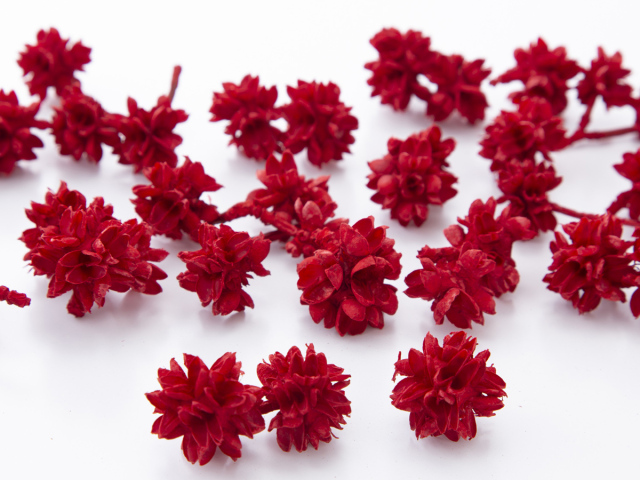 フラワーコーン　レッド　24710-301