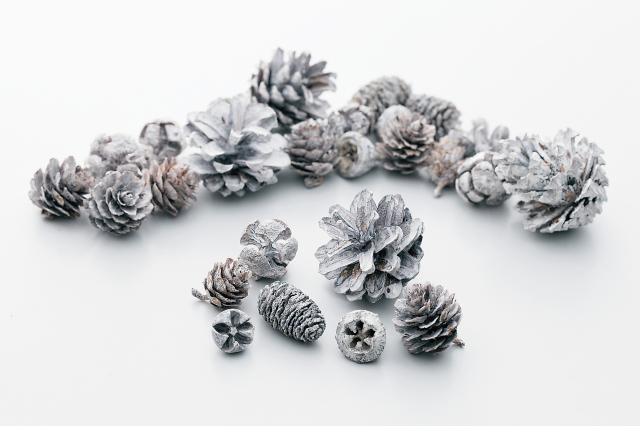 コーンアソート　ウォッシュホワイト　24884-010