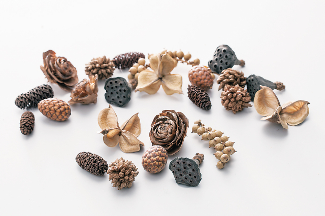 ミックスコーン　N　24890-000