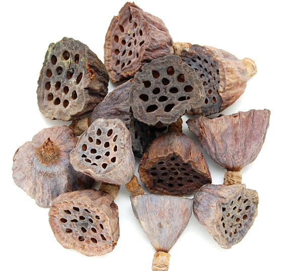 ハスヘッド・小　ナチュラル　30152