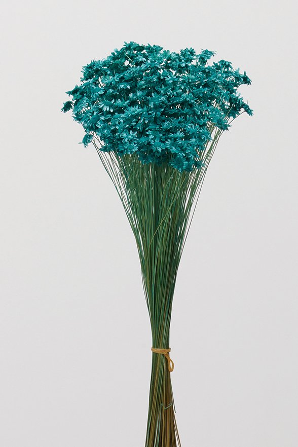 スターフラワー・ブロッサム　ターコイズグリーン　30191-631　品番変更