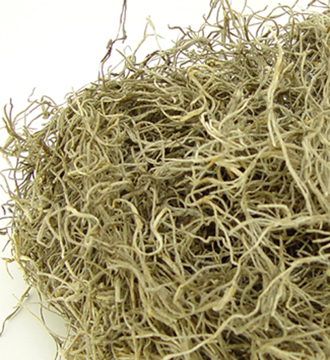 スパニッシュモス　ナチュラル