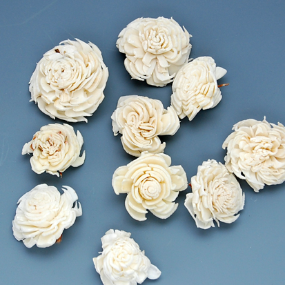 ソーラーチョッキ　白