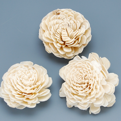 ソーラーローズ6cm　白