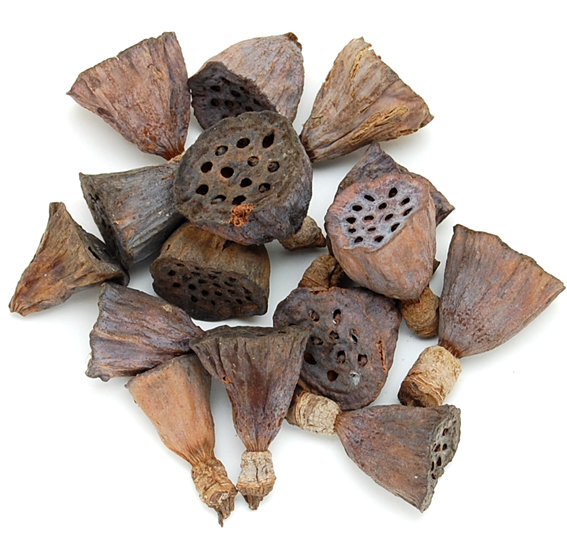 ハスヘッド・ミニ　ナチュラル