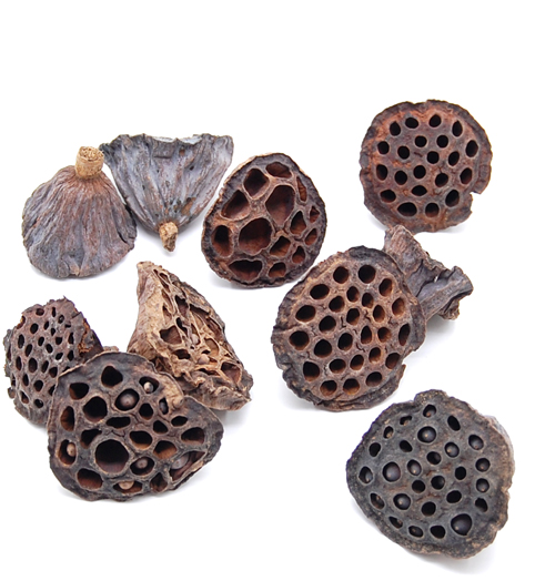 ハスヘッド・中　ナチュラル