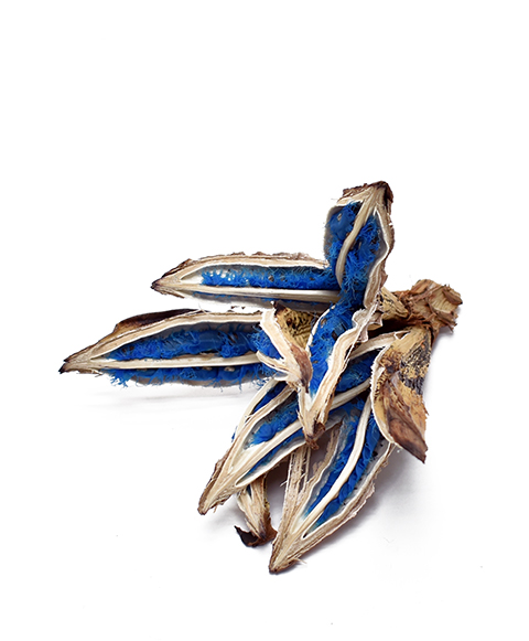 旅人の木　Sサイズ　　ナチュラル　30375