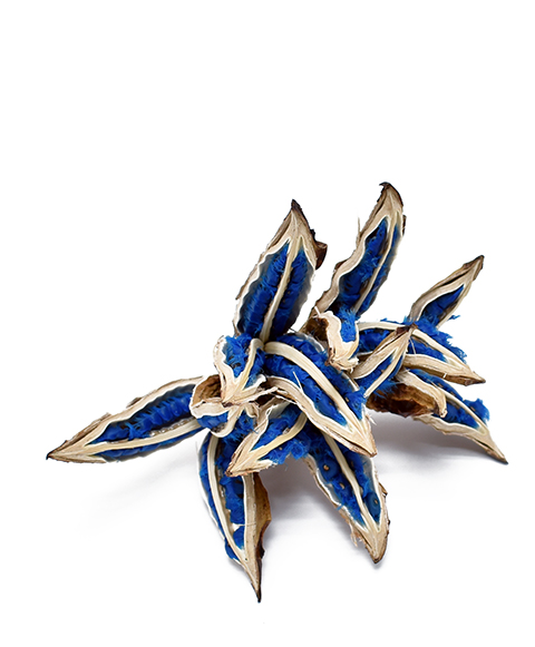 旅人の木　Mサイズ　　ナチュラル　30376