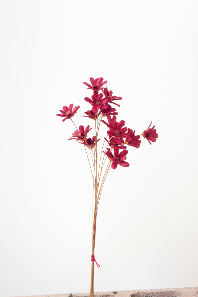 プチフラワー　ワインレッド　32140-480